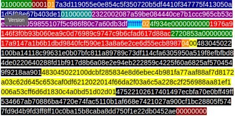 Bitcoin: Creating a raw Segwit transaction from scratch and getting Signature must be zero for failed CHECK(MULTI)SIG operation
